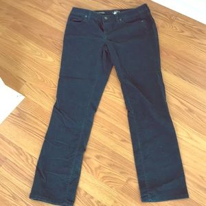 Loft Dark turquoise modern straight cords